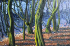 Binsenteich Impression II