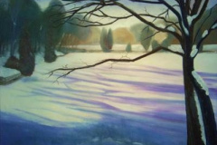 Winter am Binsenteich