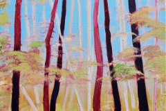 Prerow Darss Wald