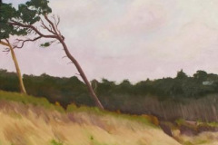Prerow Weststrand III