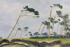 Prerow Weststrand V