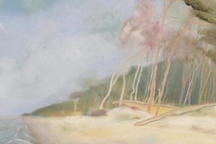 Prerow Weststrand VII