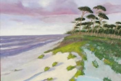 Prerow Weststrand VIII