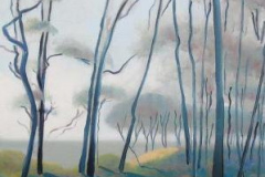 Prerow Weststrand XIII