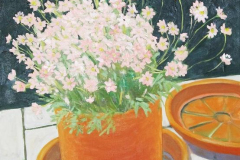 Blume im orangenen Topf
