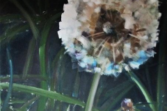 Pusteblume